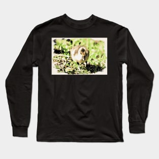 Chick 3 / Maléa is looking for the goblin - children's book WolfArt Long Sleeve T-Shirt